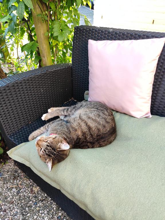 Hotel B&B LeLa - Resim 27