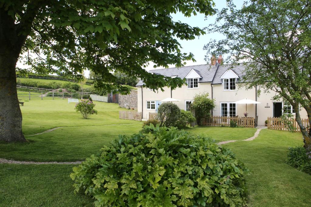 a large white house with a large yard at See the llamas at a beautiful Somerset Cottage in Combe Saint Nicholas