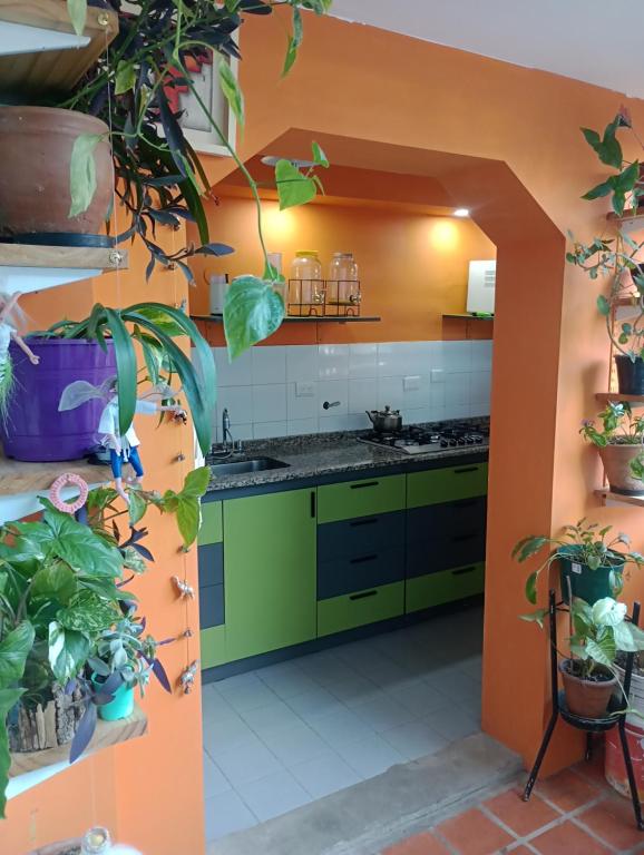 a kitchen with green and orange cabinets and potted plants at La casa de Emma in Cordoba