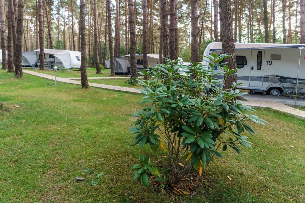 Zahrada ubytování Urlaub im Wohnwagen mitten im Wald