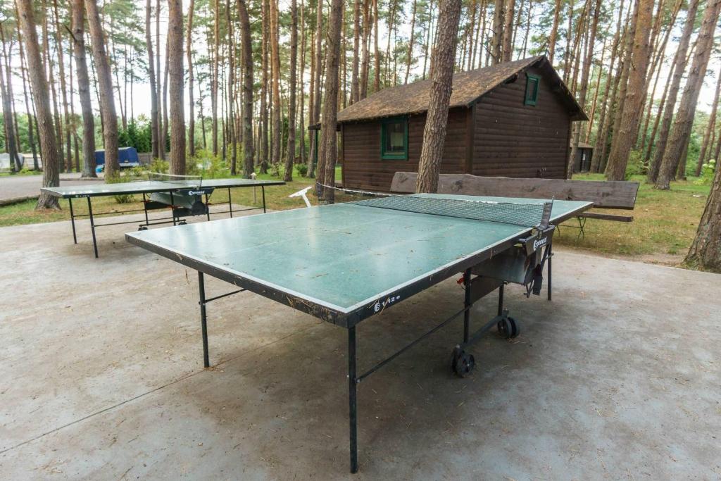 Stolní tenis v ubytování Urlaub im Wohnwagen mitten im Wald nebo okolí