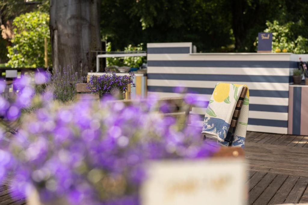Jardí fora de Sorell Hotel Zürichberg