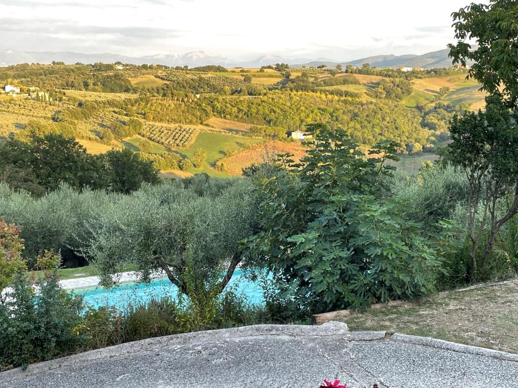 a view of a swimming pool with a tree and hills at Villa Degli Olivi is located in Saragano in Saragano