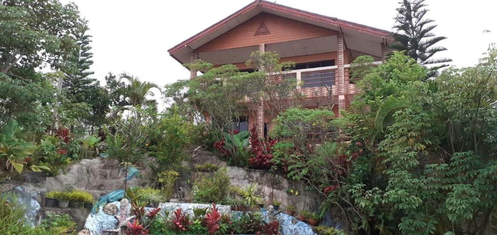 ein Haus auf einem Hügel mit Pflanzen in der Unterkunft ศรีวิภา​ฮิลล์​ in Khao Kho