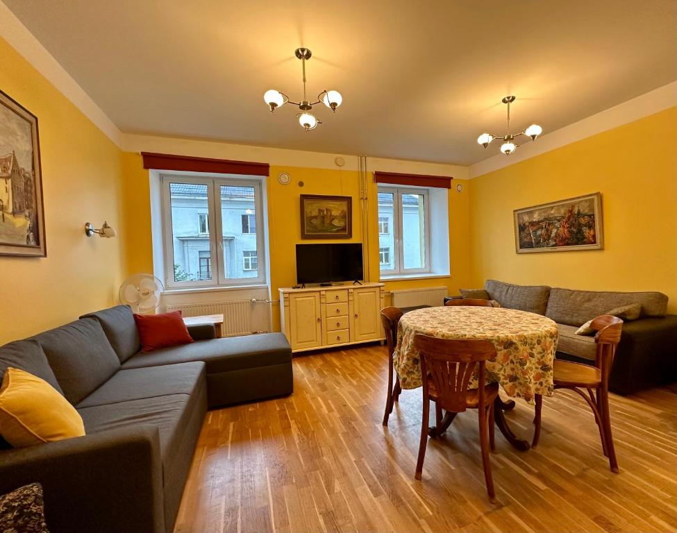 TV a/nebo společenská místnost v ubytování Apartment in City Center