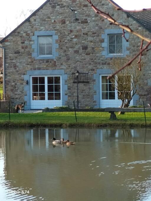 Výhled na řeku, která protéká v blízkosti prázdninového domu