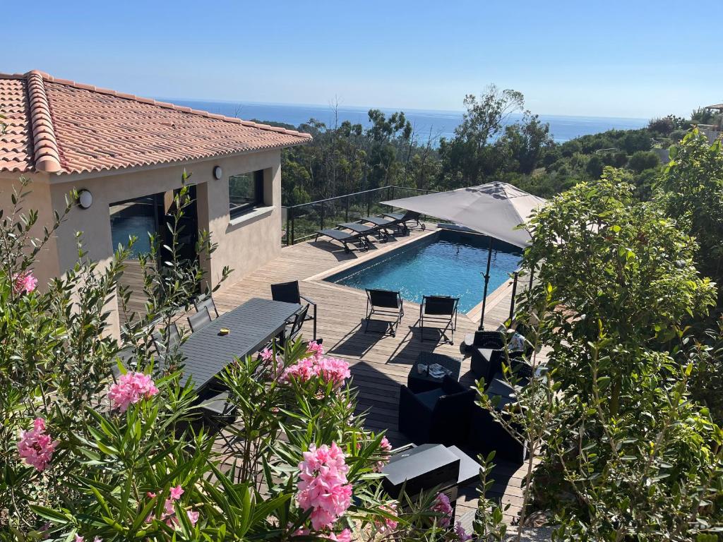 une piscine avec chaises longues et parasols à côté d'une maison dans l'établissement Villa Kalinas Corse 4 étoiles, à Sari-Solenzara