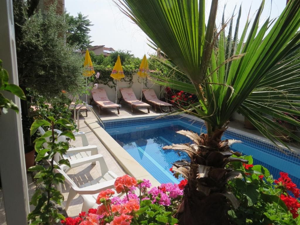 a pool with chairs and a palm tree and flowers at Family Hotel Sofi in Sozopol