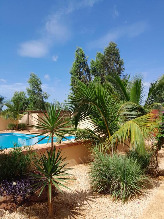 ein Resort mit einem Pool und Palmen in der Unterkunft DEKK JAMM, où l'on trouve la paix in Toubab Dialao