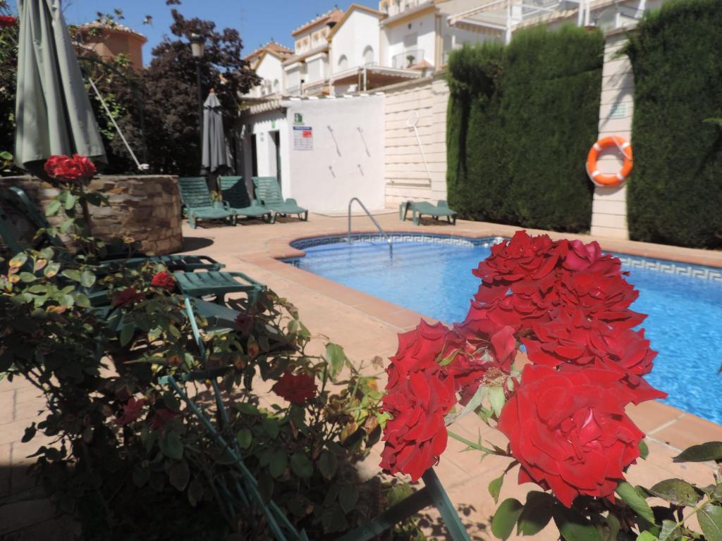 The swimming pool at or close to Caseria de Comares Apartments 104