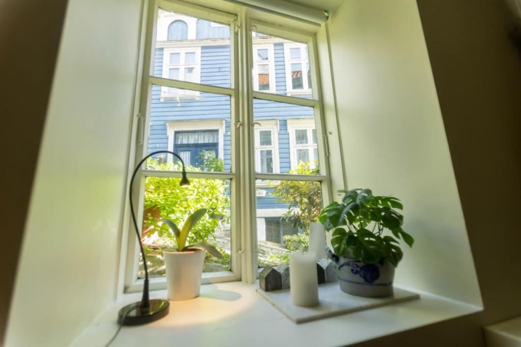 una ventana con dos macetas en una cornisa en Dinbnb Homes I Cozy Cellar Apartment in Historical Cobblestone Street", en Bergen