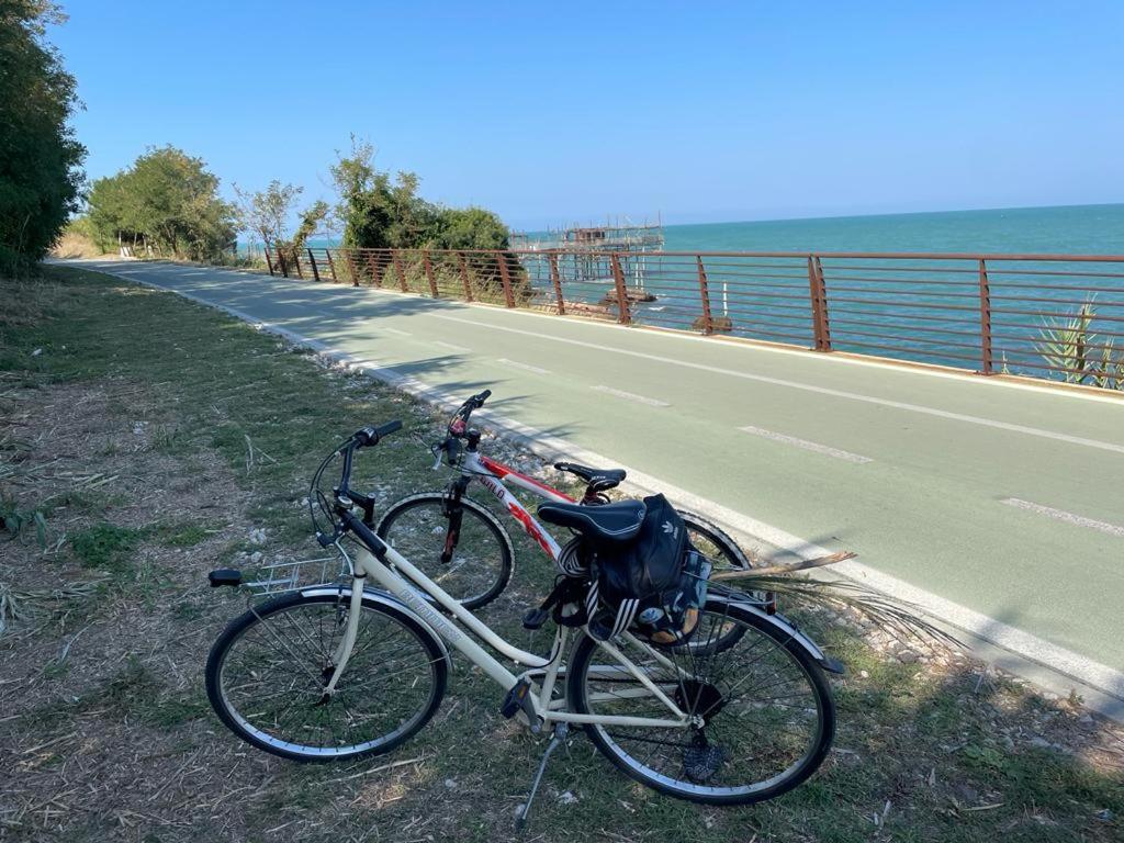 Jazda na bicykli v okolí ubytovania Villa Aurora Fronte spiaggia