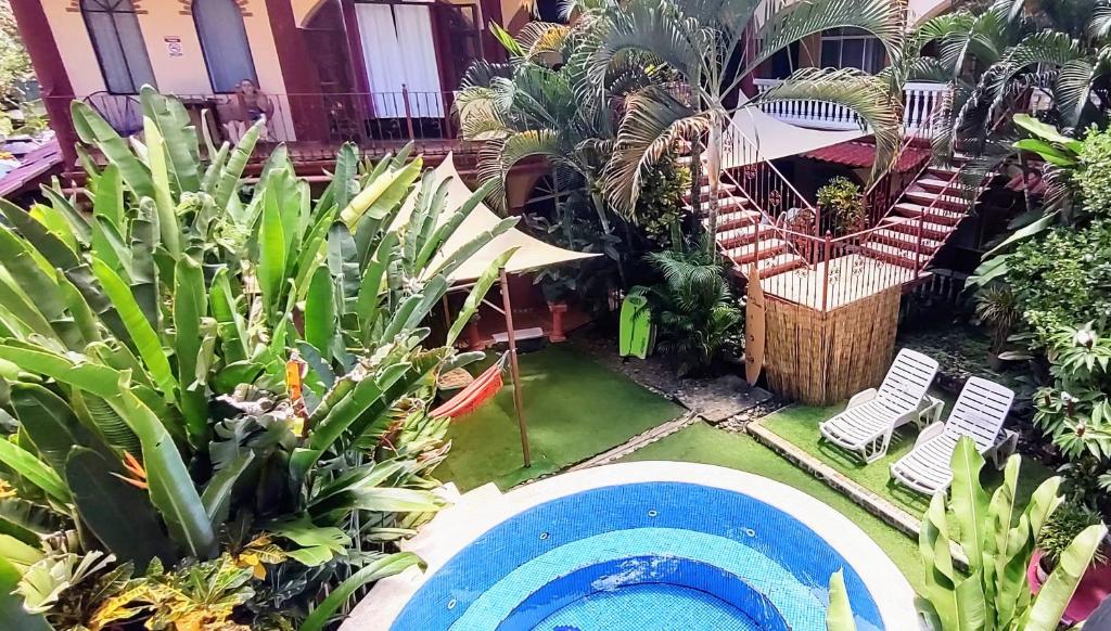 a garden with a blue pool and some plants at Cool Vibes Beach Hostel in Dominical