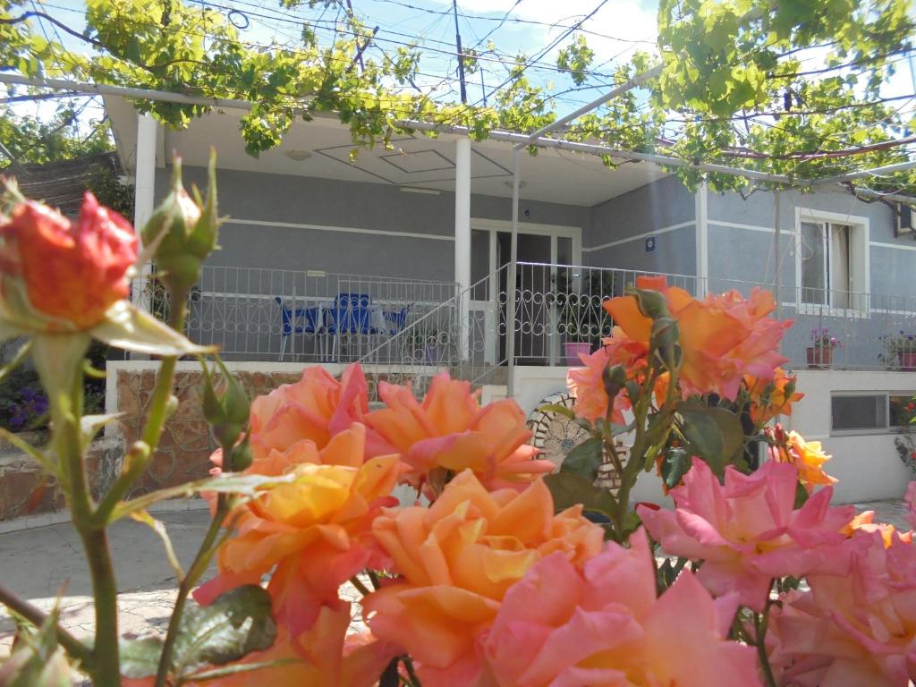 Zaca Apartments