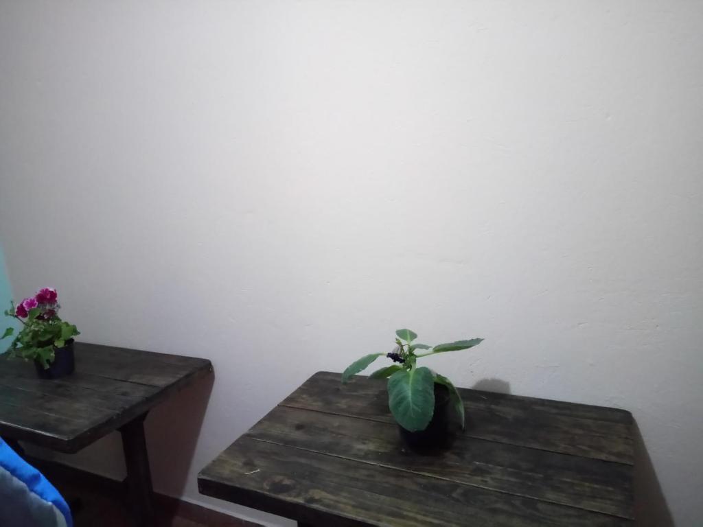 Fotografie z fotogalerie ubytování Casa 2600 v destinaci Bogotá