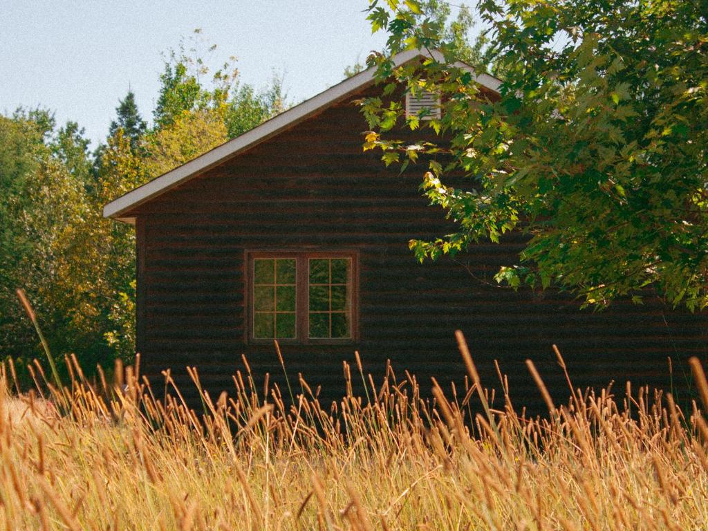 una casa nera con finestra e erba alta di Kilomètre 42 a Val-David