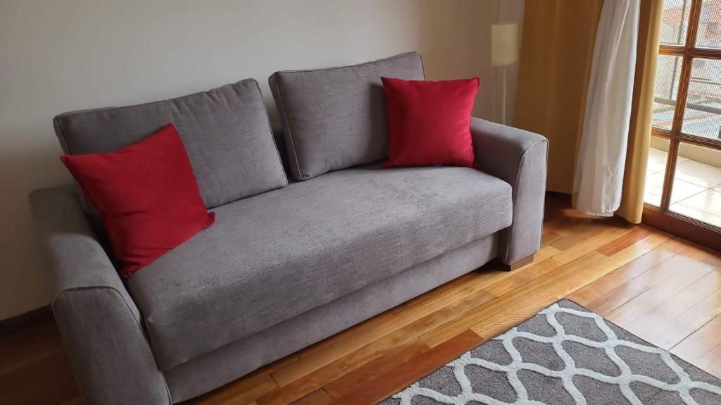 Gallery image of Chacabuco Centro Apartment in Tandil