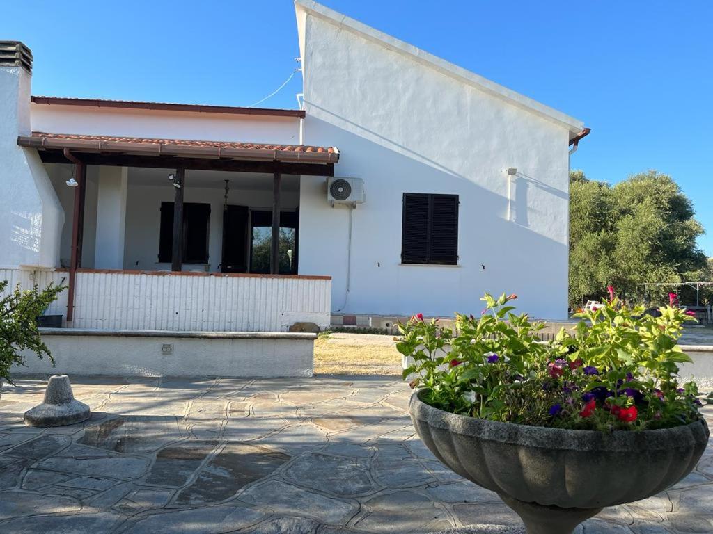 Zahrada ubytování Casa Olea