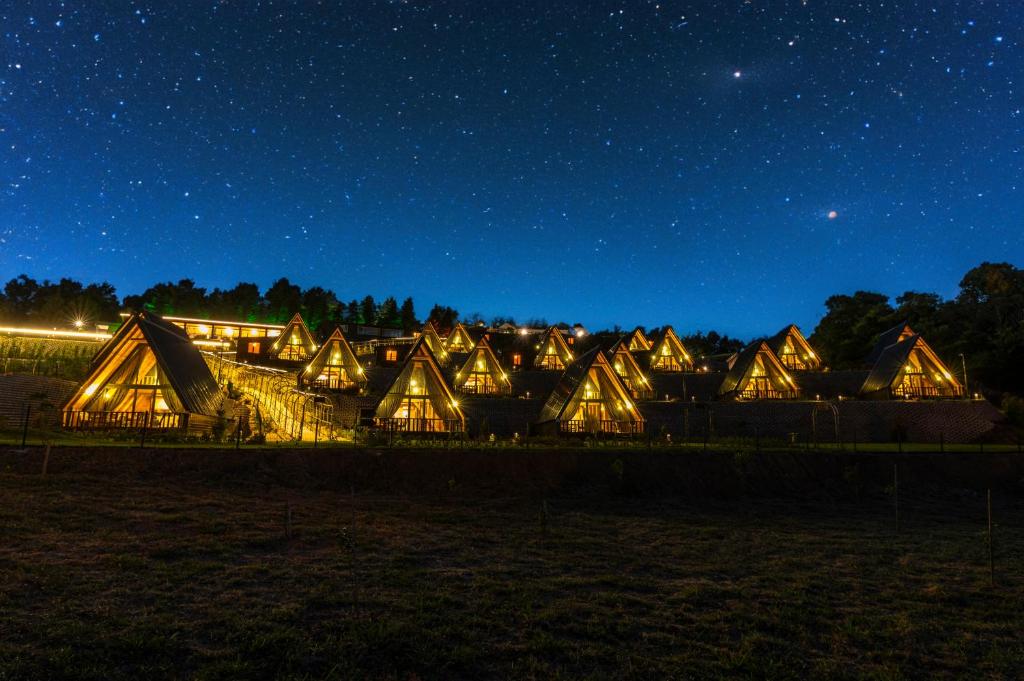 a row of lodges lit up at night at Aronia Bungalow in Elmalık