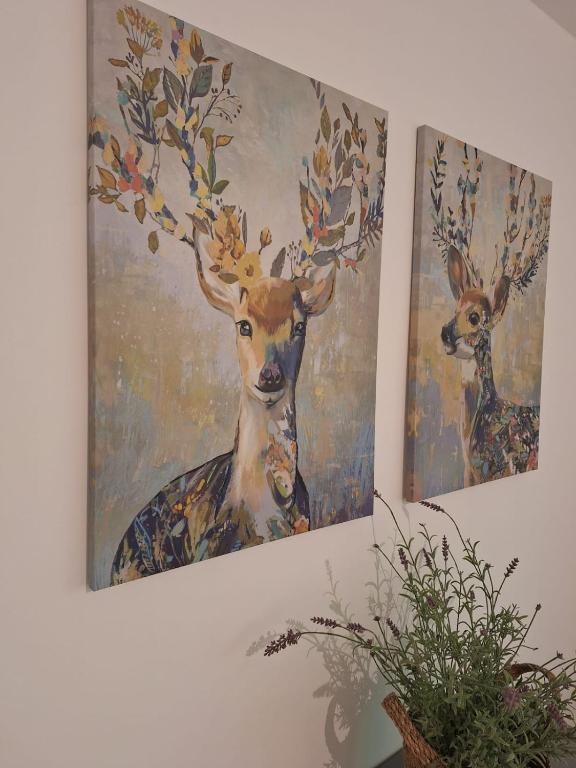 Fotografie z fotogalerie ubytování Am Wald v destinaci Waldkirch