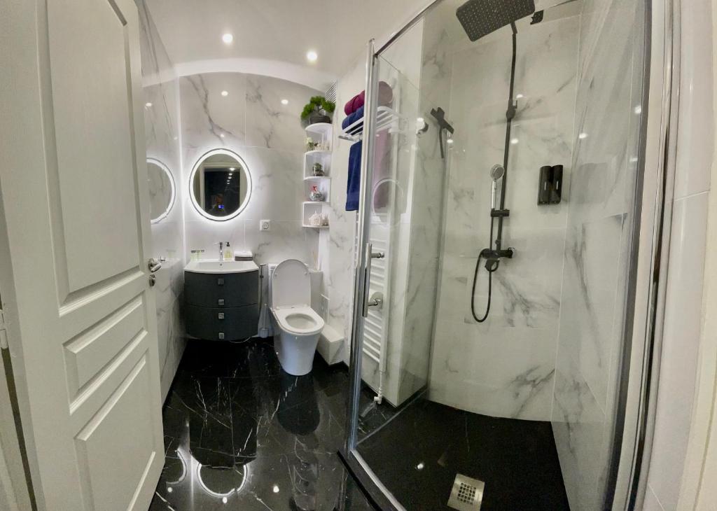 y baño con ducha, aseo y lavamanos. en Evian appartement confort Vue lac et parking privé, en Évian-les-Bains