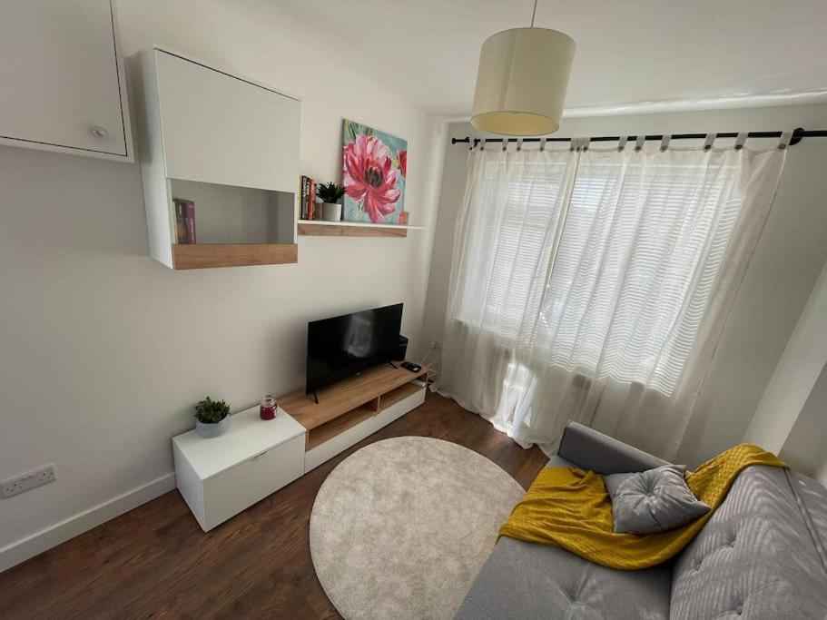 a living room with a couch and a flat screen tv at Studio in Reading 