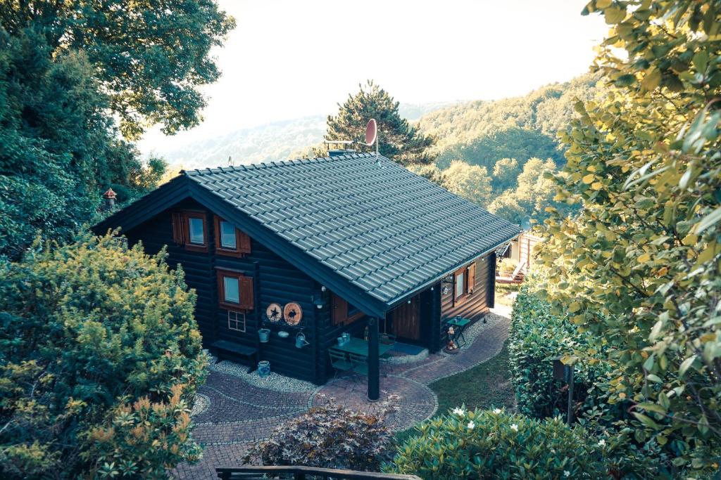 Dammbach的住宿－Chalet Spessart，一座带绿色屋顶的小木房子