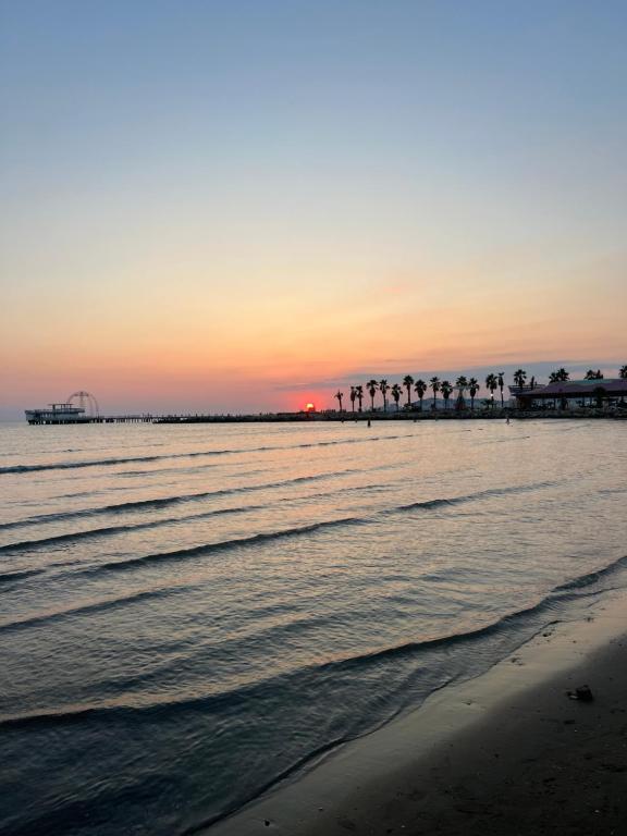 una spiaggia con palme e l'oceano al tramonto di Green Garden Villa a Durrës