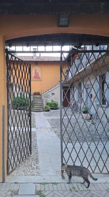 Gabbinoholidayhome Appartamento in suggestiva corte - 4