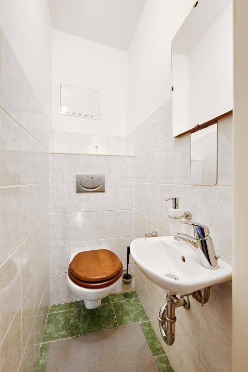 At the Blue Lion and Parking Assistance - 8