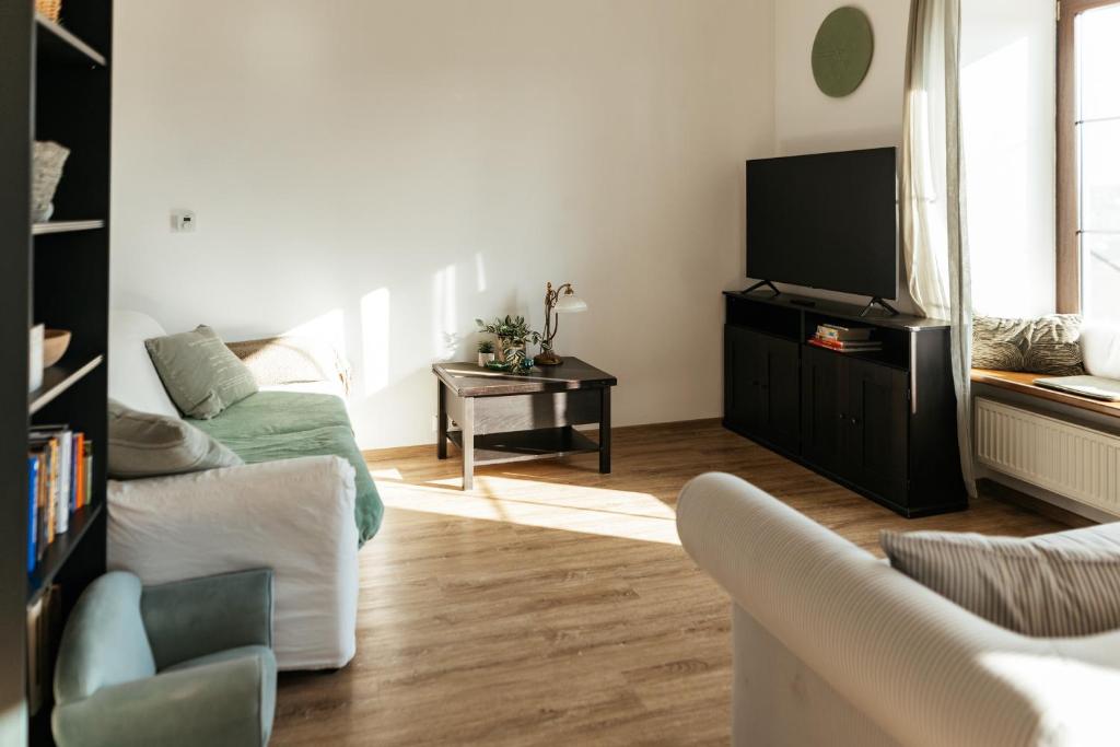 TV a/nebo společenská místnost v ubytování Dům Nad Řekou