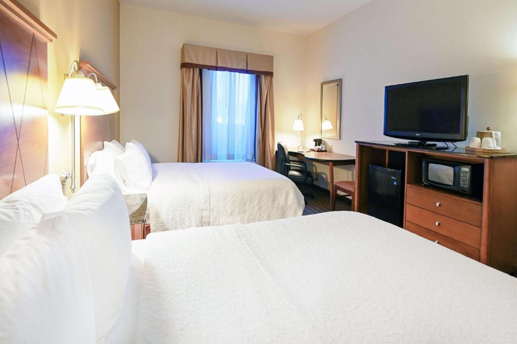 Hampton Inn Hampton-Newport News - 客房 - 带两张大号床 - 禁烟