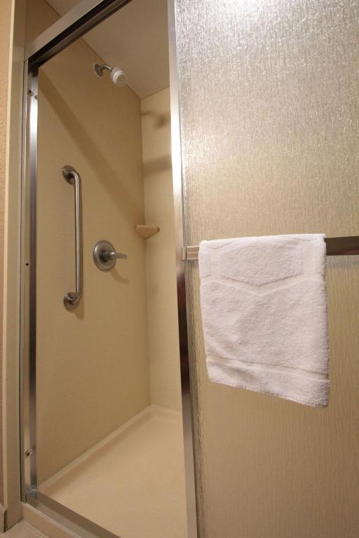Hampton Inn Hampton-Newport News - 特大号床间 - 带特大号床 - 禁烟