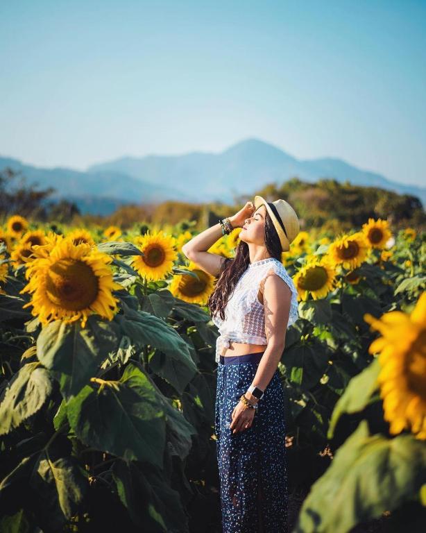 a woman standing in a field of sunflowers at Casas DiversA in Esquipulas
