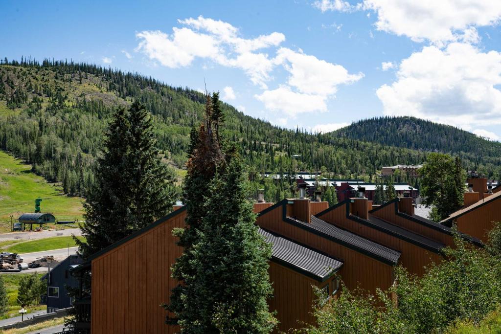 Příroda nedaleko apartmánu