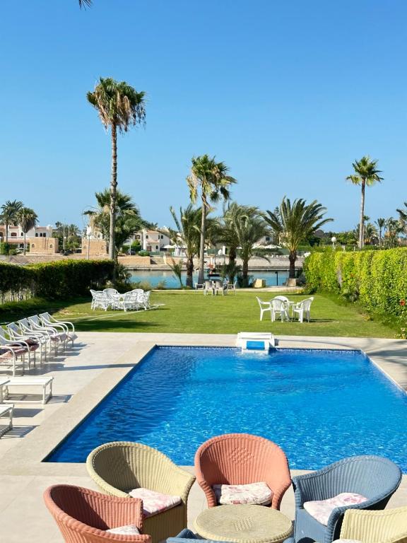 a swimming pool with chairs and a lawn with palm trees at فيلا للايجار مارينا 5 الساحل الشمالي in El Alamein