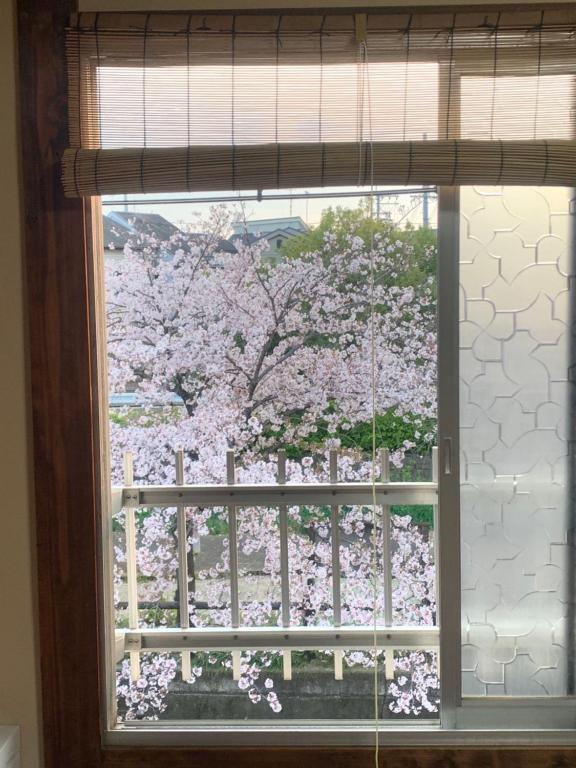Fotografie z fotogalerie ubytování 1F SAKURA RIVER HOUSE, yao 桜と川の家 1F v destinaci Yaochō