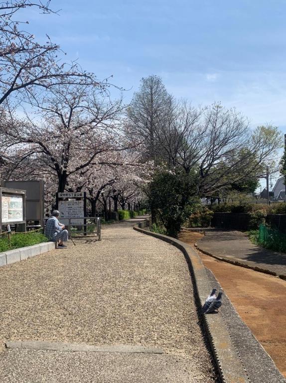 Fotografie z fotogalerie ubytování 1F SAKURA RIVER HOUSE, yao 桜と川の家 1F v destinaci Yaochō