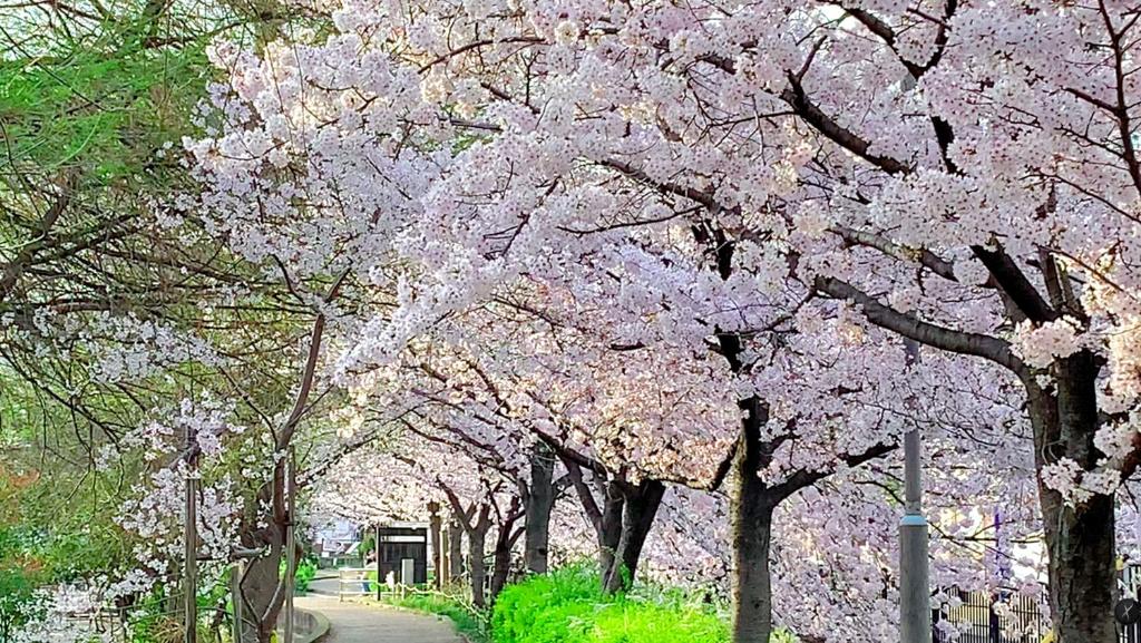 Zahrada ubytování 2F SAKURA RIVER HOUSE, yao 桜と川の家 2F