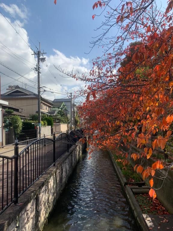 Fotografie z fotogalerie ubytování 2F SAKURA RIVER HOUSE, yao 桜と川の家 2F v destinaci Yaochō