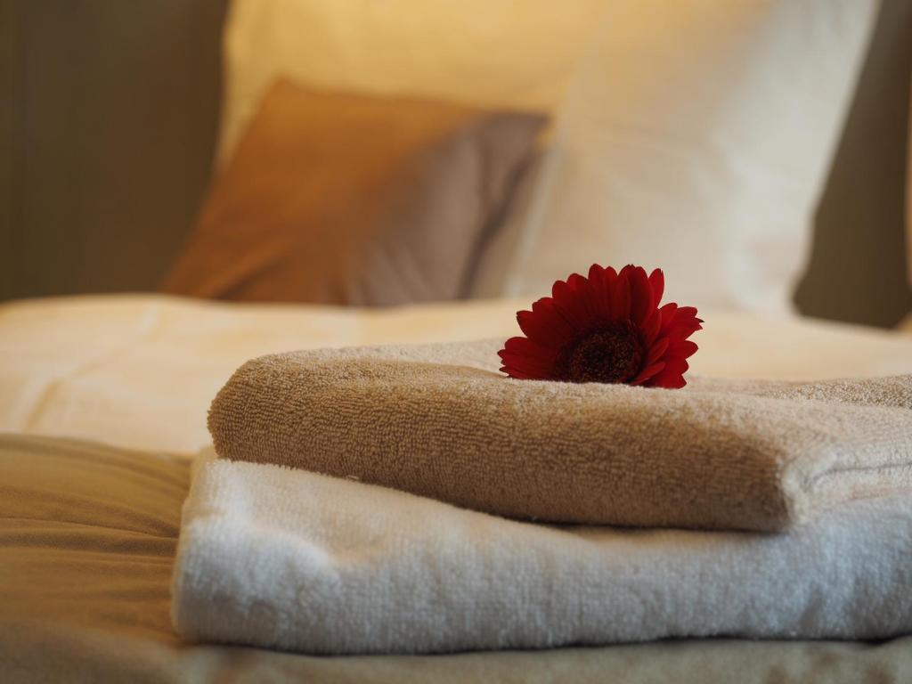 Hotel Výpřež - Děčín - 12