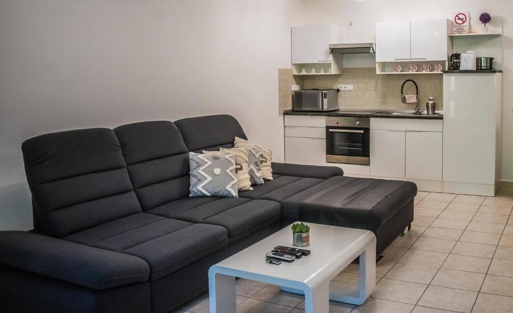 uma sala de estar com um sofá preto e uma mesa em Apartman Garden em Cserkeszőlő
