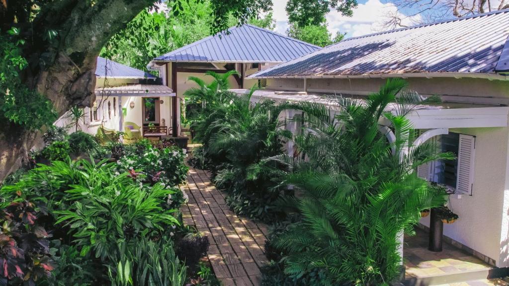 a house with a bunch of plants in front of it at Tree Lodge Mauritius Villa in Argy