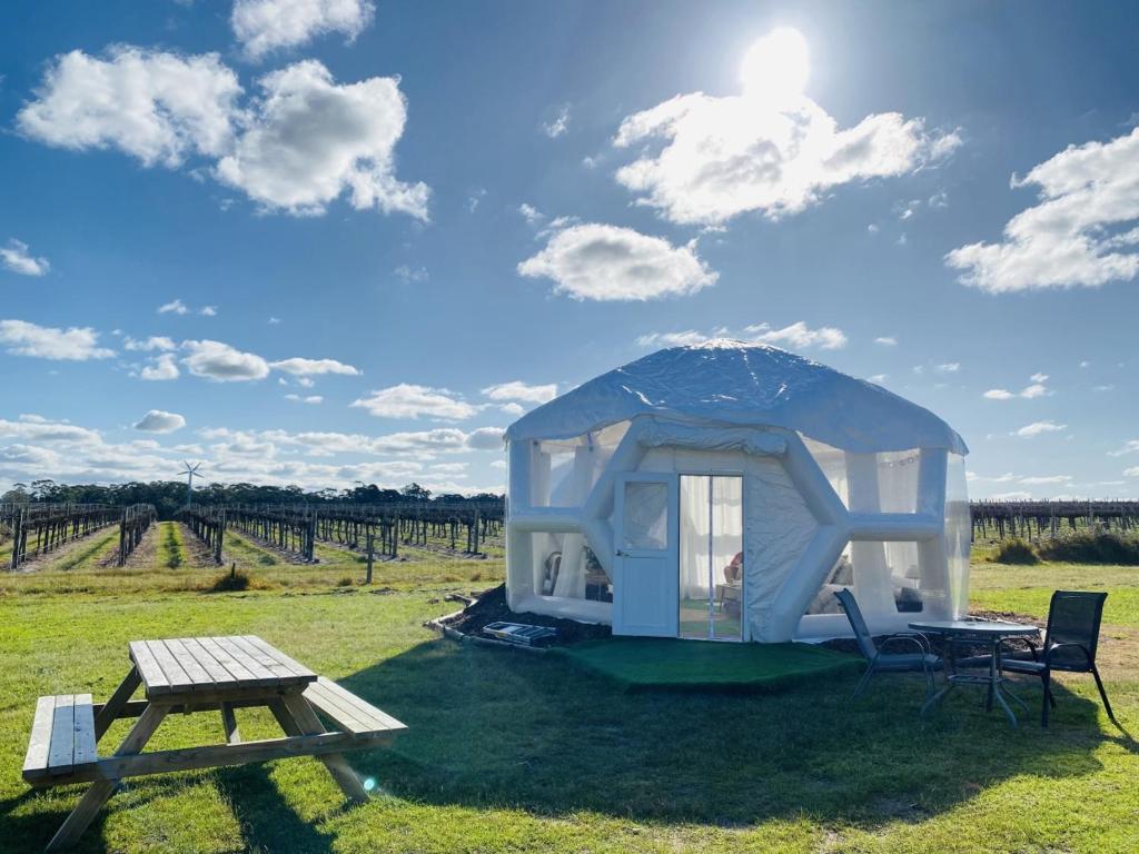 una pequeña tienda y una mesa de picnic en un campo en Coonawarra Hampton Bubble 1 en Glenroy