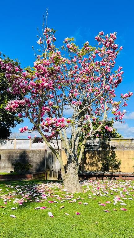 18th Avenue Thermal Motel - Resim 45