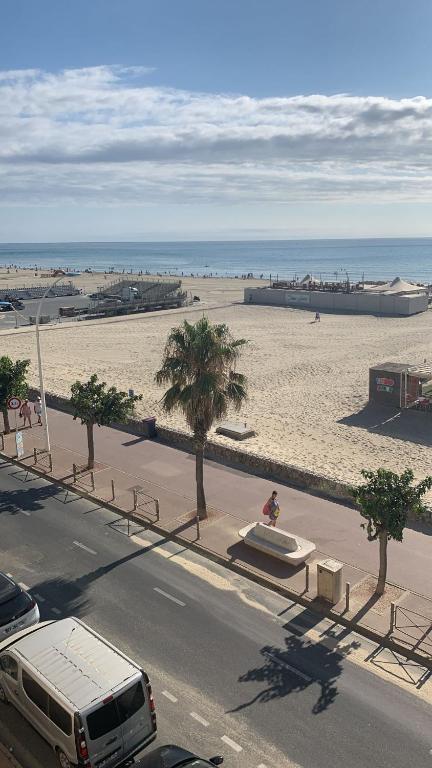 a view of a beach with palm trees and a van at Une Vue à Couper son Souffle Appartement 2 pièces in Canet-en-Roussillon