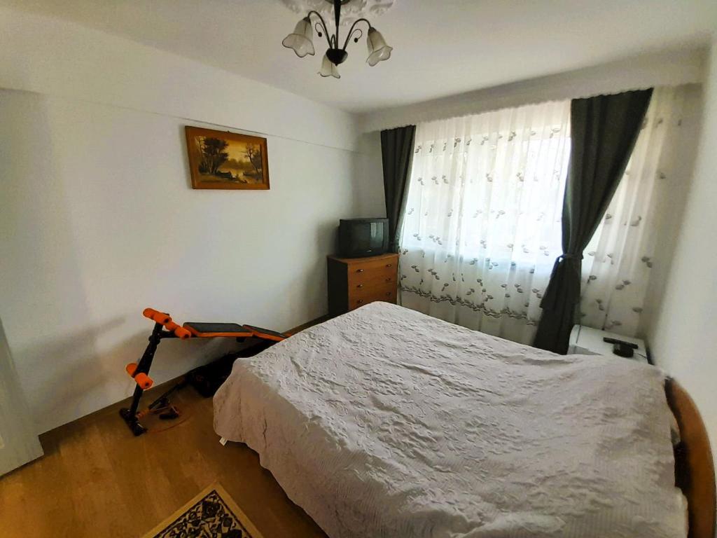 Schlafzimmer mit einem Bett und einem Fenster in der Unterkunft Apartment Eminescu - A pleasant stay in Bacau in Bacău