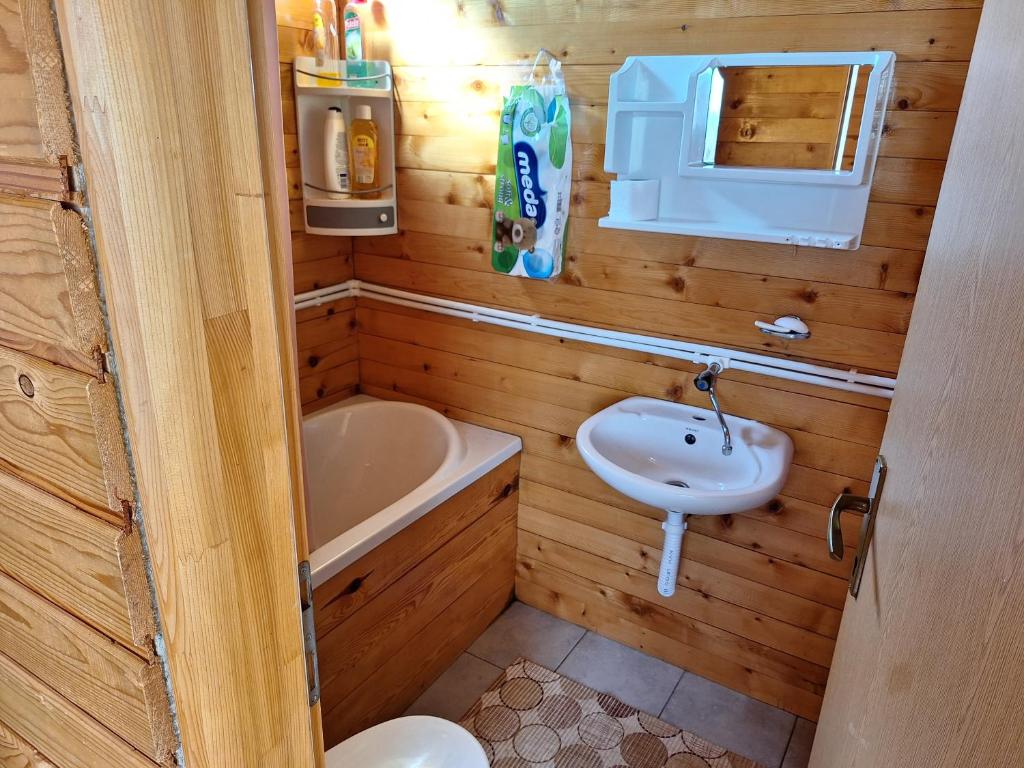 a small bathroom with a sink and a toilet at Kolibe Ćorić in Mojkovac