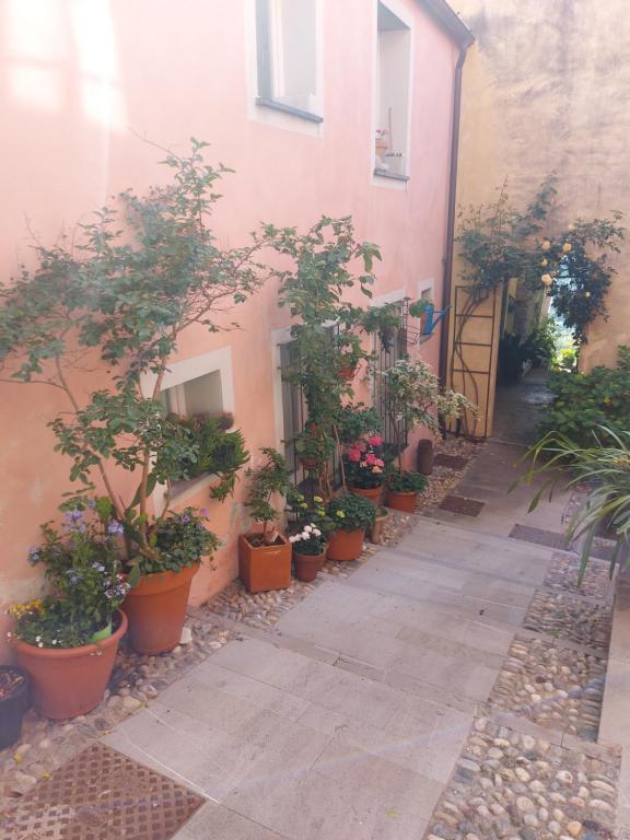 a row of potted plants on the side of a building at La Jeannotte in Levanto