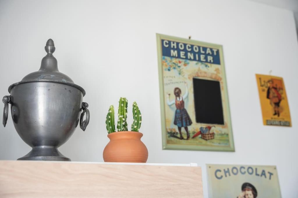 a pot and a cactus on top of a shelf at Les Hirondelles By Nid&#39;Ouest in Quimper